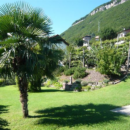Garni Hotel Ritterhof Tramin an der Weinstraße Buitenkant foto